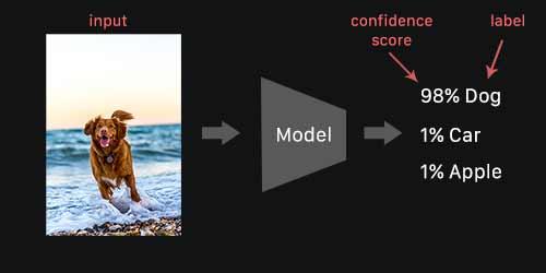 How image recognition works.