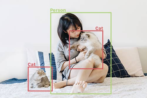 cats_and_person