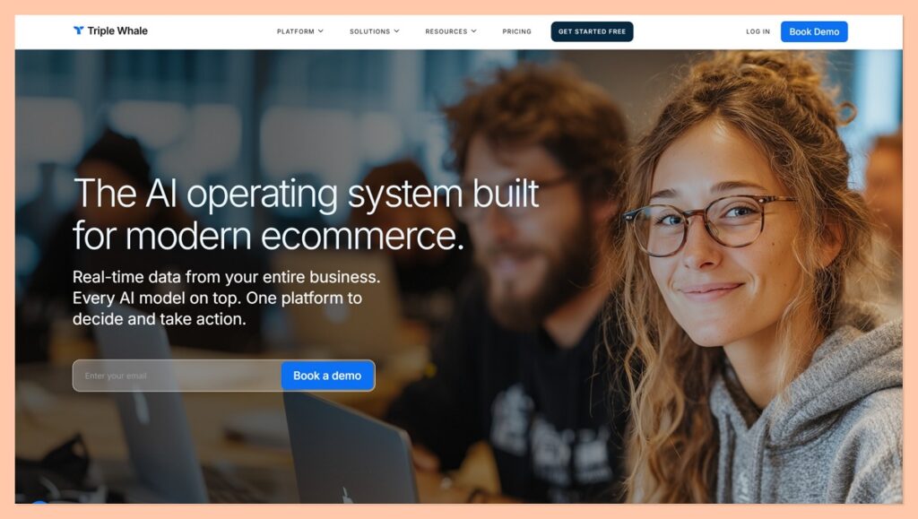 Triple whale homepage