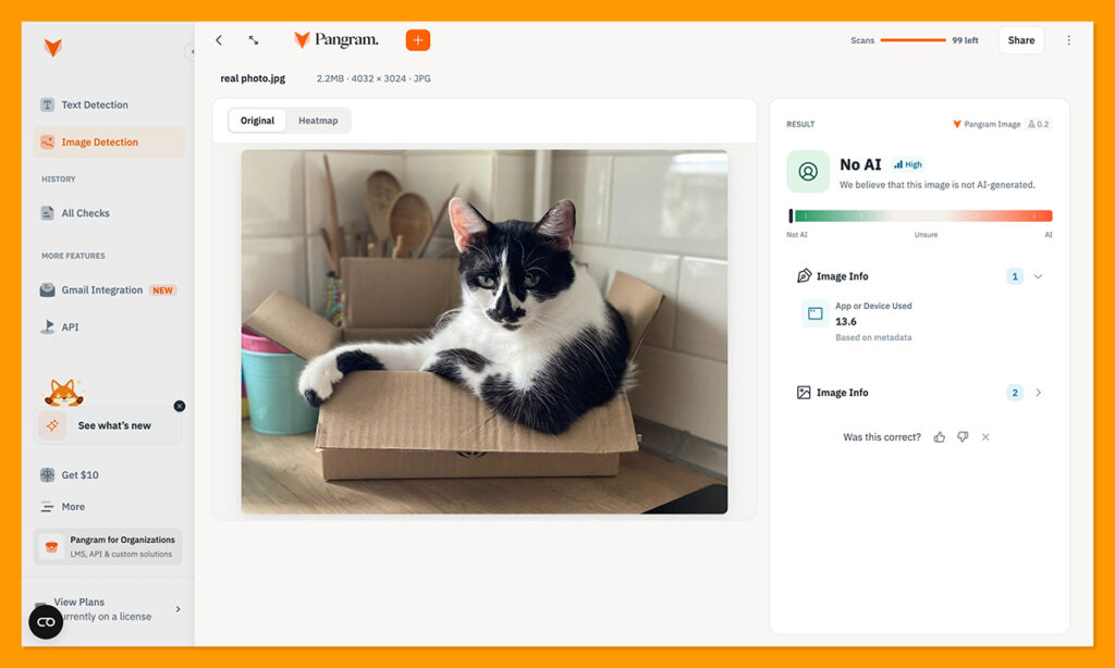 pangram real photo detection